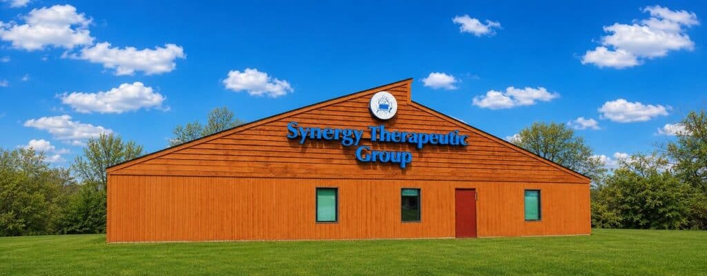 Synergy Therapeutic Group Carbondale, IL location — 1110 N Cedar Court physical therapy and pediatric occupational therapy clinic