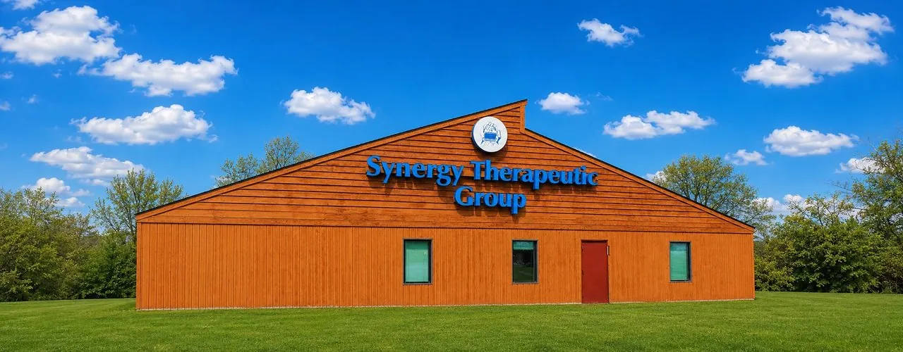 Synergy Therapeutic Group Carbondale, IL location — 1110 N Cedar Court physical therapy and pediatric occupational therapy clinic